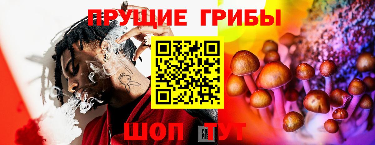 Галлюциногенные грибы GOLDEN TEACHER Новокубанск