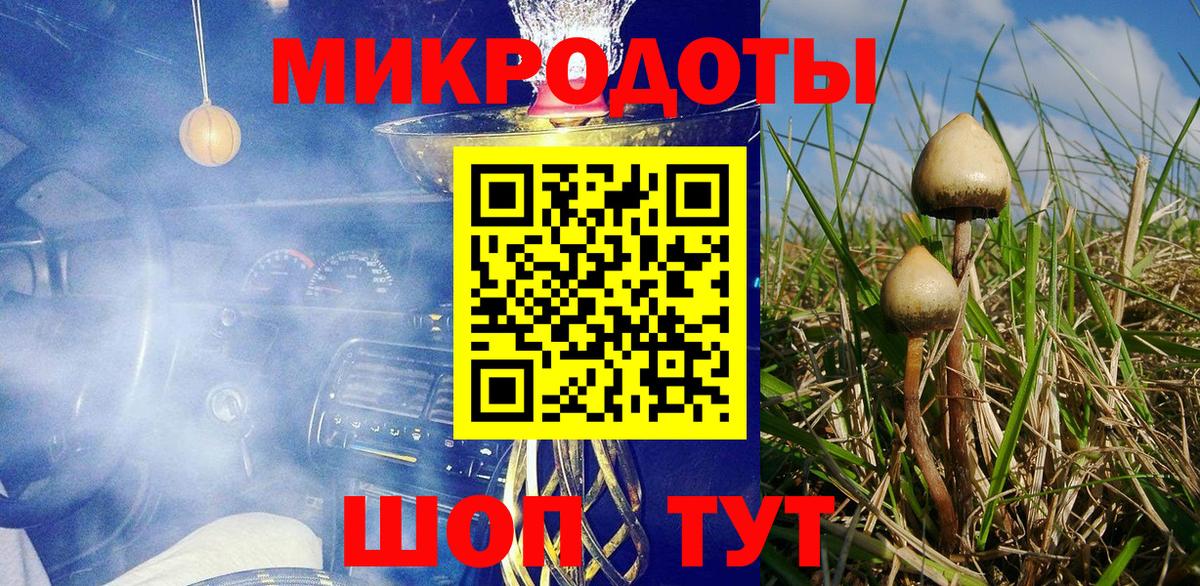 Новокубанск  Псилоцибиновые грибы Psilocybine cubensis  Псилоцибиновые грибы GOLDEN TEACHER  Вход с VPN 